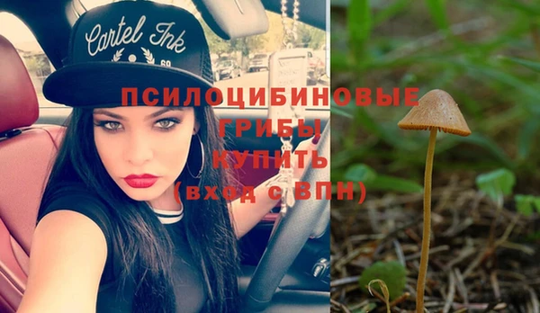 MESCALINE Краснослободск