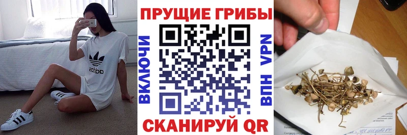 Псилоцибиновые грибы мицелий  Купить где  Покров 